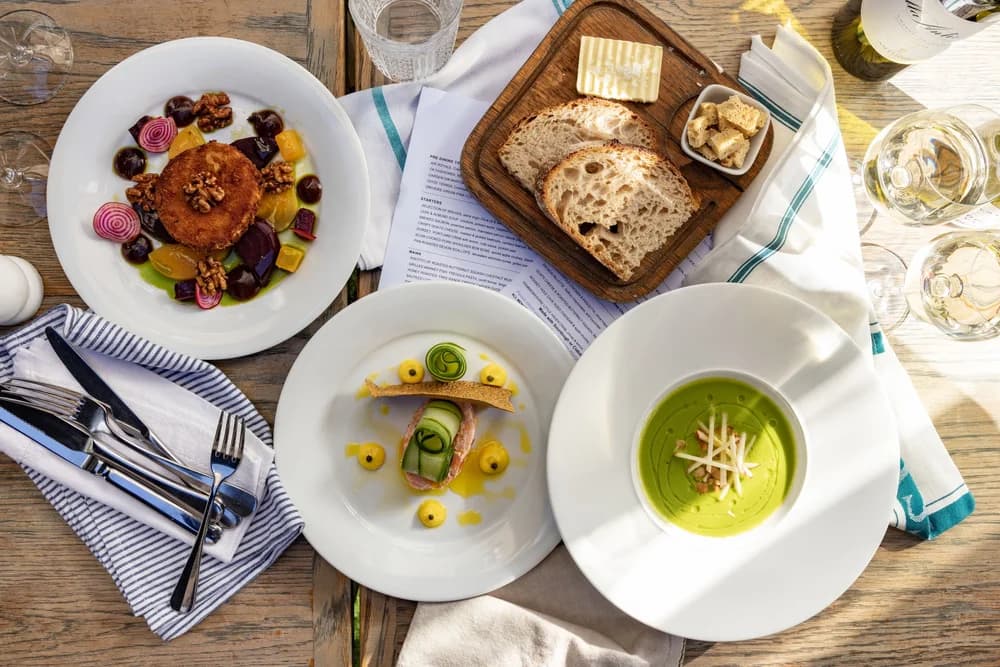 Beautifully plated dish